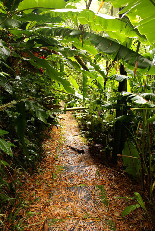 Hotel Campestre La Floresta Puerto Espejo Kültér fotó